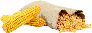 Кукуруза зерно с/м вес.~2.5кг